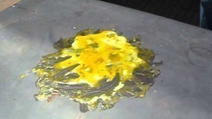 'Street food in Phoenix: frying an egg'