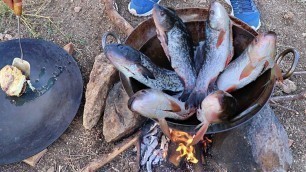 '6 FISH DEEP DRY FRY | DELICIOUS FRYING FISH IN WILD'