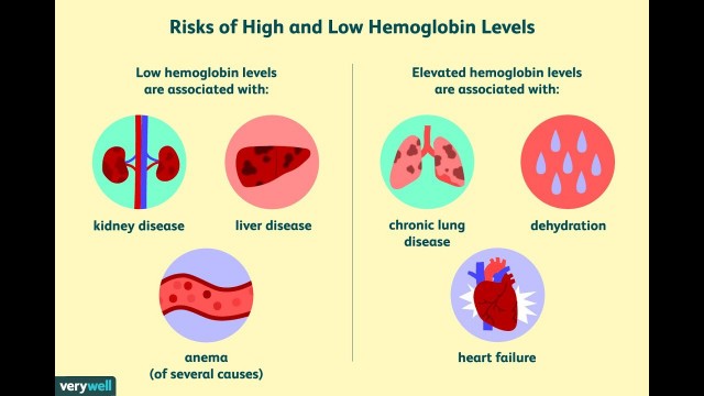 'Importance of Heamoglobin health - Foods or nutrition to increase Hemoglobin count in your body'