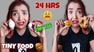 'I Ate TINY FOOD For 24 HOUR CHALLENGE  - Chicken GALOUTI KABAB Recipe - MINI Food Challenge INDIA'