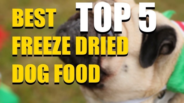 '5 Best Freeze Dried Dog Food in 2020 that You SHOULD Buy Today!'