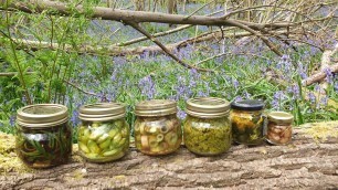 'Wild Food in Covid Times no.8 (live, 16th April 2020) Succulent plant stems and wild pickles.'