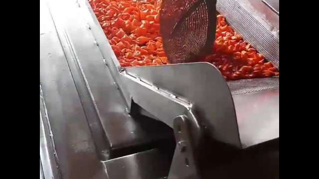 'Automatic Nimki,Namakpara,Sakkarpara Frying Machine By Prakashwala Food Equipment(Ahmedabad,Guj)'