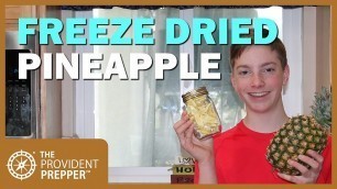 'Food Storage: Freeze Dried Pineapple'