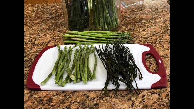 'Asparagus Week Part 1: Freeze Drying vs Dehydrating'