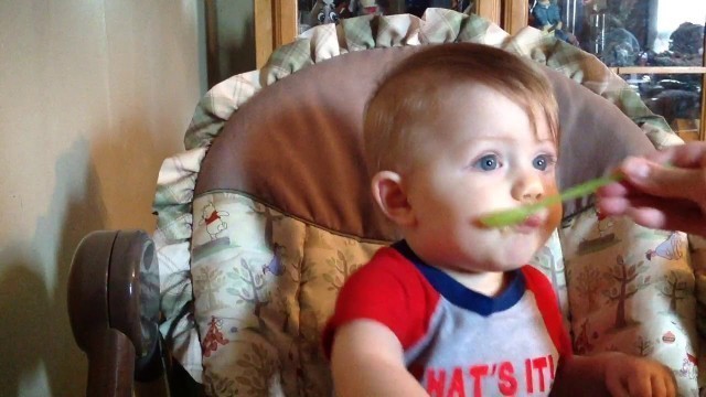 '11 Month Old Eats His Pears Gerber Baby Food & Waves Bye Bye At The End of Video Recording!'