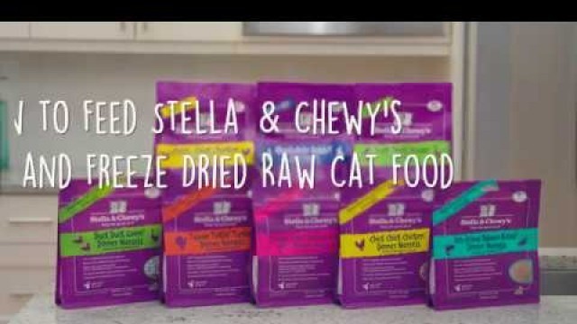 'How to Feed Stella & Chewy\'s Frozen and Freeze Dried Raw Cat Food'