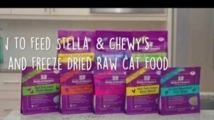 'How to Feed Stella & Chewy\'s Frozen and Freeze Dried Raw Cat Food'