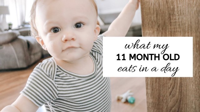 'WHAT MY 11 MONTH OLD EATS IN A DAY 2019 | What should you feed your baby?'