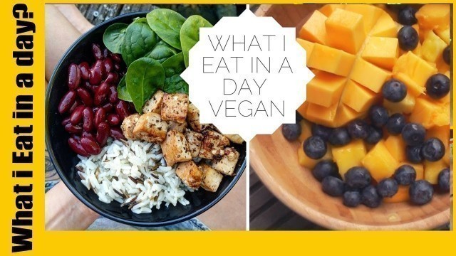 'What I Eat in a Day | Healthy Natural Vegan Fitness Food'