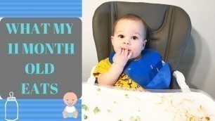 'WHAT MY 11 MONTH OLD BABY EATS IN A DAY | Eating Schedule + Meal Ideas For Babies'