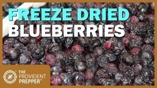 'Food Storage: Freeze Dried Blueberries'