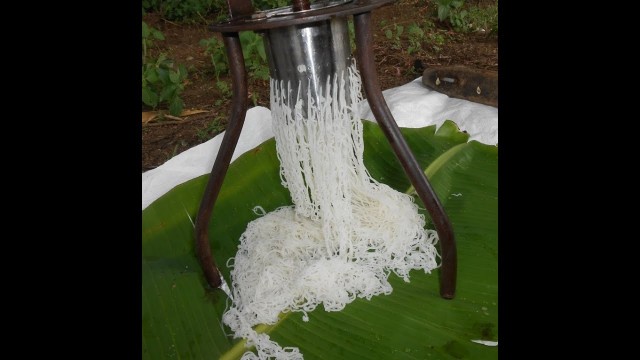 'Cooking VILLAGE NOODLES in My Village - Lemon + Coconut Milk Noodles - Food Money Food'