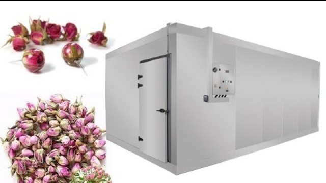 'Commercial Freeze Drying Machine For Flowers'