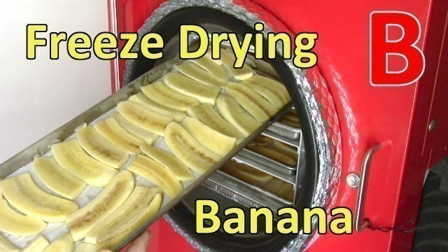 'Freeze Drying Banana Slices'