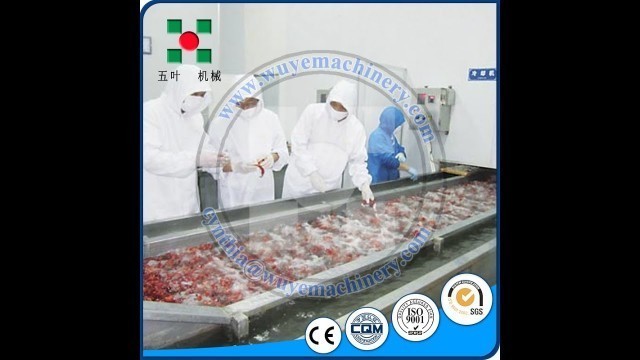 'lobster frying processing line machine/freeze crayfish processing equipment/frozen food squid'