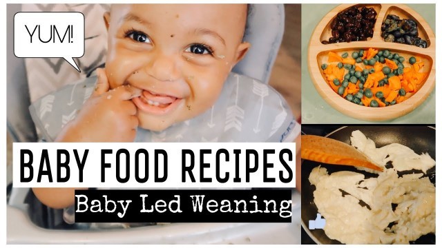 'BABY LED WEANING RECIPES | BABY FOOD RECIPES FOR 10 MONTHS'