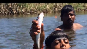 'Beautiful Village Life - Catching and Cooking Fresh Fish Fries in My Village - Kids turn into Chefs'