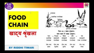 'Food Chain | खाद्य श्रृंखला |Meaning | B.Ed 2Year |Environment Education|CLASS-4|IN HINDI|b.ed 2021'