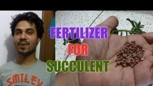 'Fertilizer for succulent'