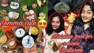 'MINIATURE FOOD Cooking and Eating for 24Hours Challenge[TAMIL] - Romba naal aprm choppu saaman'