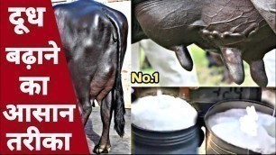 '25 KG दूध वाली भैंस का Perfect Diet Plan || How to Earn Maximum Milk'