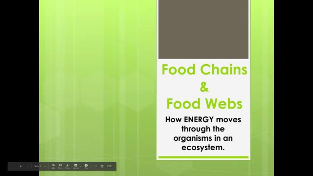 'Food Chains and Food Webs Video'