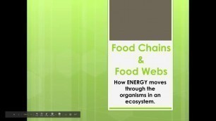 'Food Chains and Food Webs Video'