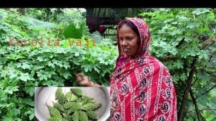 'Village Food | Fresh bitter gourd fry | Grandmother recipes-100'