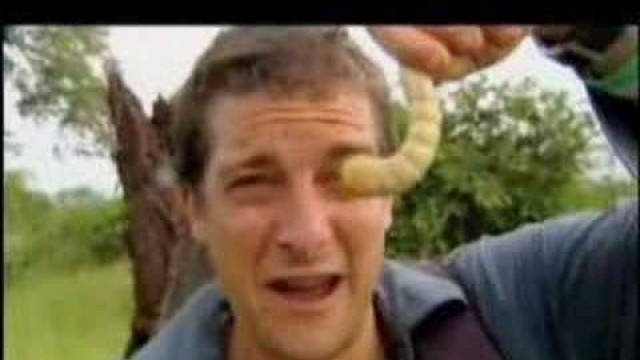 'Man vs. Wild - Eating Giant Larva'