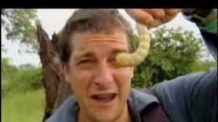 'Man vs. Wild - Eating Giant Larva'