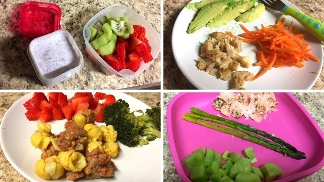 'HEALTHY TODDLER MEAL IDEAS | 11 Month Old Baby Food Recipes'