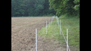 'Protecting Your Food Plots from Deer Damage'