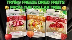 'Trying Freeze Dried Fruits : So Natural : Bargain from Dollar Tree : Apples, Strawberries & Peaches'