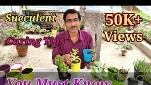 '4 Best Caring Tips for your Succulents you must Know. Potting nix, Fertilizer Etc.'