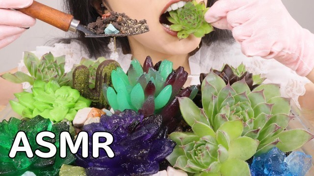 'ASMR EDIBLE SUCCULENT GARDEN WORMS SOIL PRANK FOOD(EATING SOUNDS)NO TALKING MUKBANG 먹방 MOMO-ASMR'