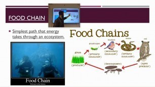 'Video Notes Series - Food Chains'