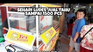 'TAHU KRIUK YES !!! SEHARI JUALAN TAHU LUDES 1500 PCS !!! INDONESIAN STREET FOODS'