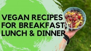 '3 healthy vegan recipes: breakfast, lunch & dinner'