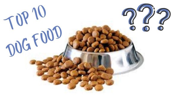 'Top 10 Most Popular Dog-Food For Puppies Reviewed By Experts'