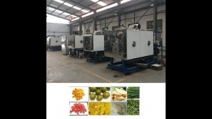 'Industrial Fruit, Vegetable and Food Freeze Dryer'