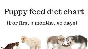 'Pet Care - Puppy | Dog Feed Diet Chart For First 3 month (90 days) - Bhola Shola | Harwinder Singh'