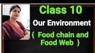 'Class 10 ll Our Environment ll Food chain and food web'