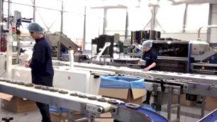 'Sorting blueberries on a production line'