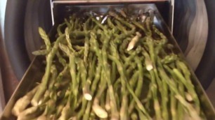 'FRESH HEALTHY ASPARAGUS Harvest Right Home FREEZE DRYER DRIED HOME FOOD STORAGE HOW TO'