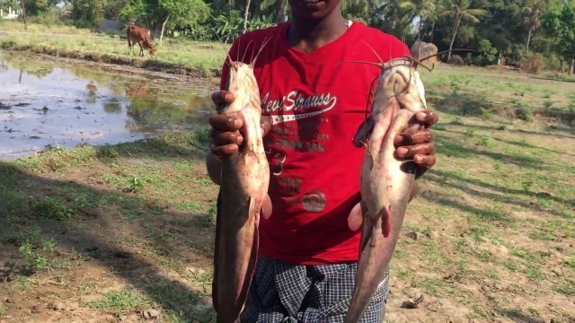 'Catch N Cook - Fresh Fish Vadai - Village Style Fish Cutlets - My Village My Food'