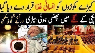 'mealworm add in food list |  Throat operation just 11 month baby shafaqtv'