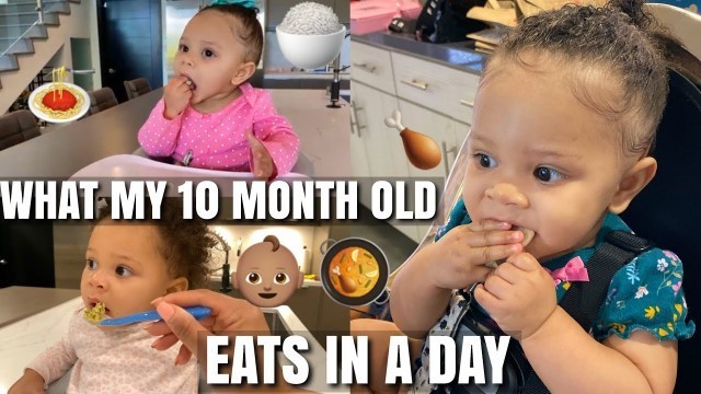 'WHAT MY 10 MONTH OLD EATS IN A DAY'