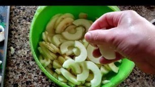 'Cinnamon Freeze Dried Apples in the Harvest Right'