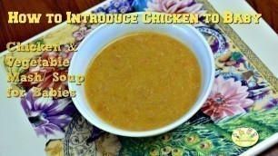 'How to introduce Chicken to Baby: Chicken & vegetable soup for babies(9+ months)'